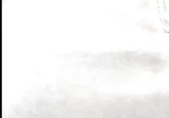 نوک سینه تیره و سگ را دانلود کلیپ جدید سکسی ایرانی دمار از روزگارمان درآورد